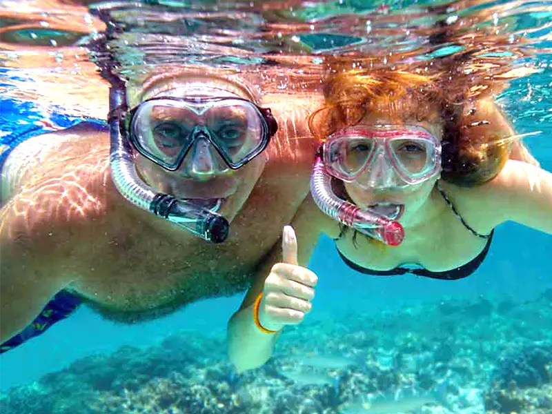 Complimentary Use Of Our Snorkeling Equipment.