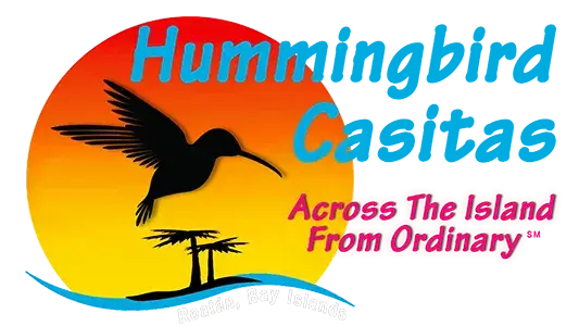 Hummingbird Casitas Logo