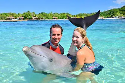swim with dolphins in Roatan