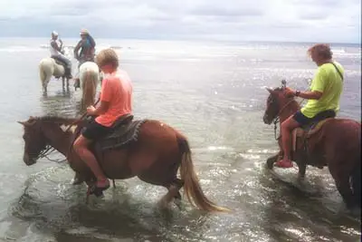 horseback riding in Roatan