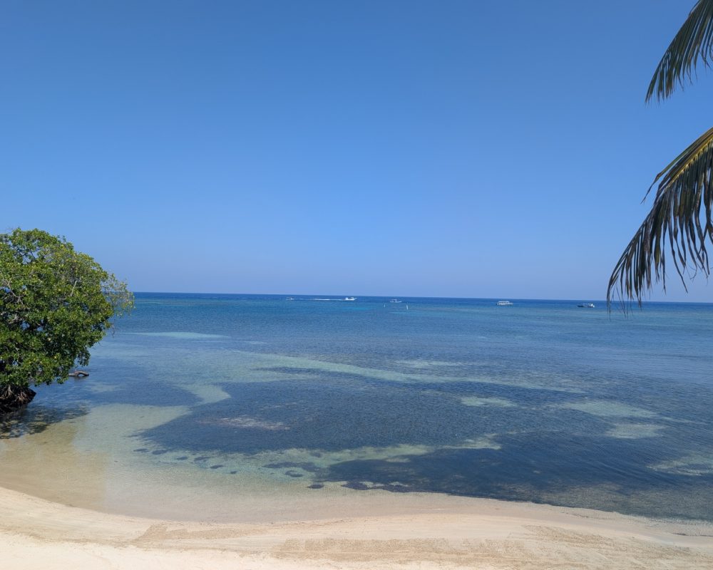 Leeward side-Exact same day - In front of Hummingbird Casitas