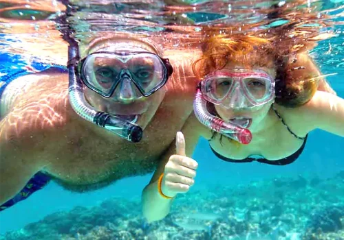 Complimentary Use Of Our Snorkeling Equipment.